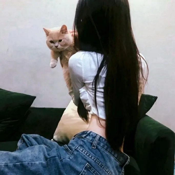 七个秘书