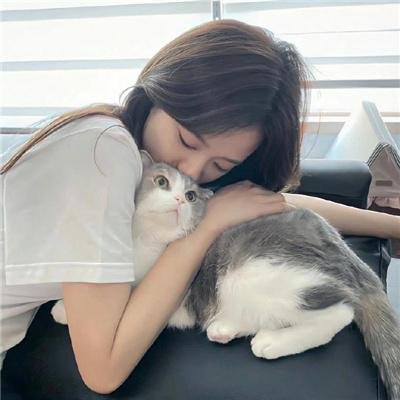 羊羔